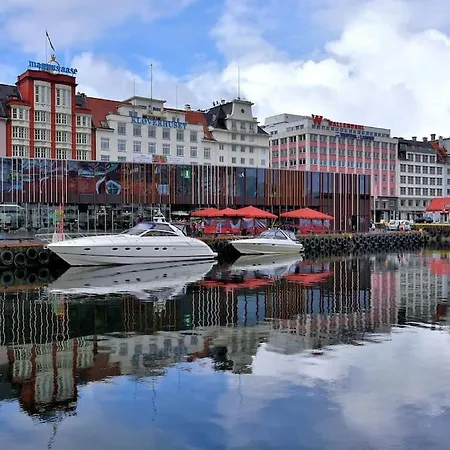 - 303 Bergen